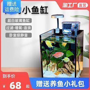 龍魚可以用鹽嗎怎么養(yǎng)（養(yǎng)龍魚需要注意哪些問題？）