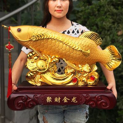 買什么金龍魚漂亮又便宜（寶石金龍魚養(yǎng)殖技巧）