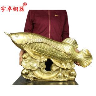 買什么金龍魚漂亮又便宜（寶石金龍魚養(yǎng)殖技巧） 龍魚百科 第5張