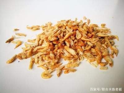 龍魚(yú)可以喂鮮蝦嗎（龍魚(yú)可以喂鮮蝦嗎龍魚(yú)喂食注意事項(xiàng)） 龍魚(yú)百科 第4張