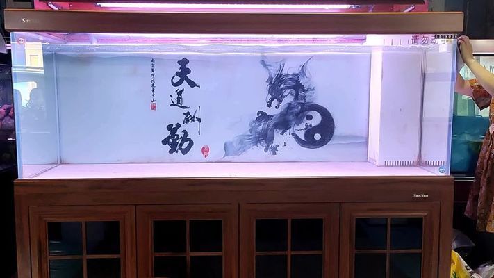 魚缸布景簡(jiǎn)單（魚缸造景入門指南） 龍魚百科 第5張