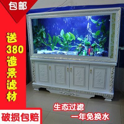 龍魚缸濾材擺放順序（龍魚缸水質(zhì)檢測(cè)方法） 龍魚百科 第1張