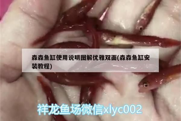 森森魚缸怎么使用視頻（森森魚缸智能控制面板操作如何維護(hù)森森魚缸）