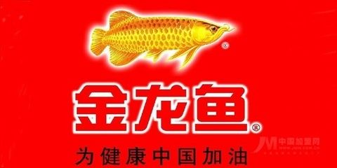 金龍魚加盟代理?xiàng)l件（金龍魚加盟優(yōu)勢分析） 龍魚百科 第5張