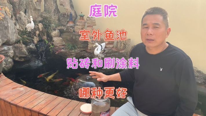 龍魚缸鋪瓷磚好不好（龍魚缸瓷磚安裝注意事項龍魚缸瓷磚選擇技巧） 龍魚百科 第5張