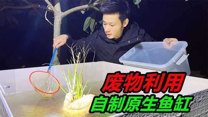 龍魚缸鋪瓷磚好不好（龍魚缸瓷磚安裝注意事項龍魚缸瓷磚選擇技巧） 龍魚百科 第1張