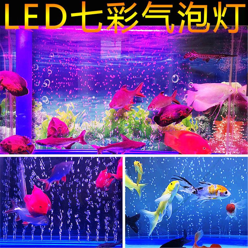 水族燈最佳照明時間設置（水族燈的照明時間設置對于保持水族箱內生態(tài)平衡至關重要）