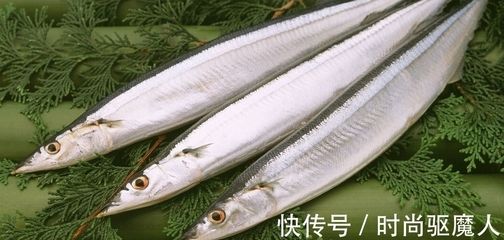 秋刀魚營養(yǎng)價值介紹，秋刀魚的保存方法有哪些秋刀魚的保存方法有哪些 龍魚百科 第5張