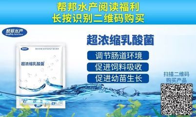 黃鰭鯧魚生長旺季飼料選擇，黃鰭鯧魚飼料保存方法 龍魚百科 第1張