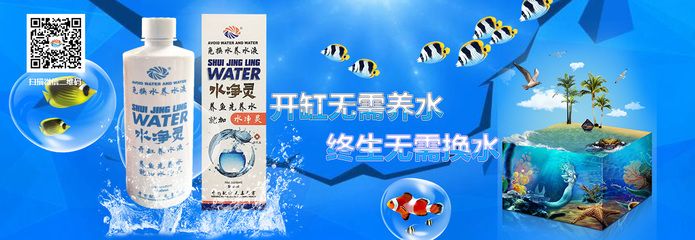 金龍魚油總部在哪里，金龍魚油的總部位于哪個(gè)省份, 水族問答