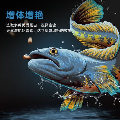 雷龍魚飼料選擇指南 龍魚百科 第4張