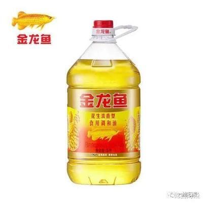 為啥養(yǎng)龍魚，養(yǎng)龍魚的注意事項 水族問答