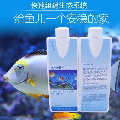 龍魚可不可以和戰(zhàn)船混養(yǎng)，龍魚和戰(zhàn)船魚可以一起養(yǎng)，但需要注意關(guān)鍵點(diǎn)