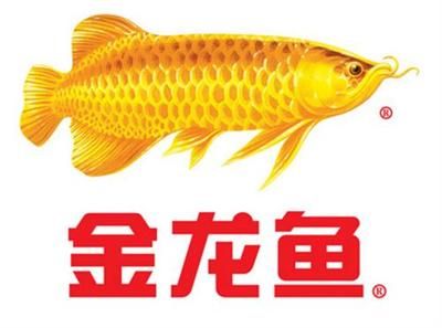 金龍魚營收 龍魚百科 第5張