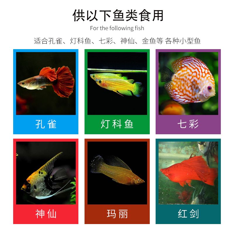 七彩神仙魚(yú)繁殖期飼料選擇，七彩神仙魚(yú)繁殖期飼料品牌推薦