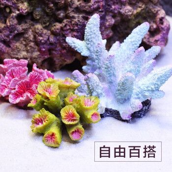 易萌魚缸，易萌魚缸怎么樣