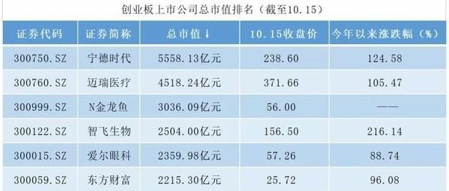 金龍魚 市值，金龍魚最新財(cái)報(bào)解讀 龍魚百科 第3張