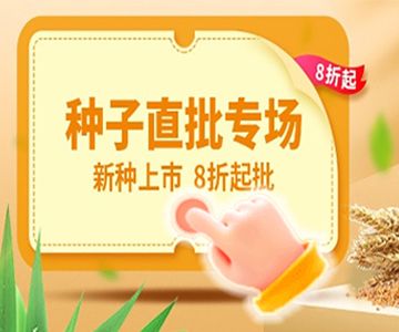 怎么養(yǎng)好龍魚(yú)，養(yǎng)好龍魚(yú)需要注意什么