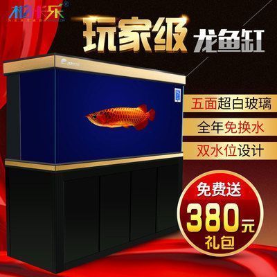 龍魚缸水位高度標準，龍魚缸水位高度標準是多少 龍魚百科 第3張