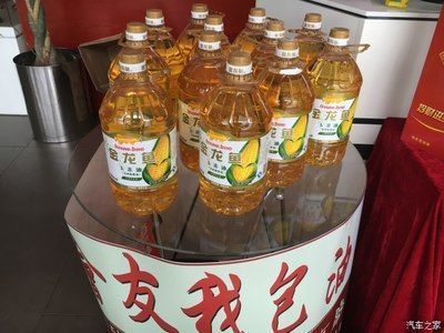 多力和金龍魚哪個(gè)貴，多力和金龍魚哪個(gè)更貴