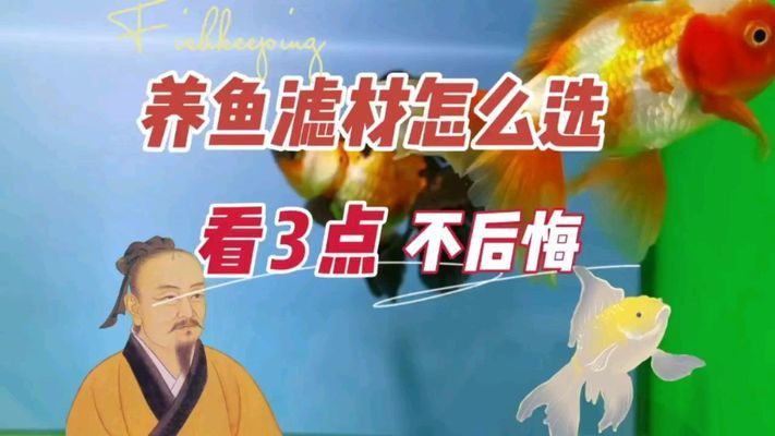 龍魚缸能用多少年 龍魚百科 第1張