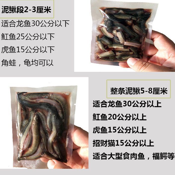 魟魚(yú)人工飼料營(yíng)養(yǎng)成分分析，魟魚(yú)人工飼料的營(yíng)養(yǎng)成分 龍魚(yú)百科 第5張