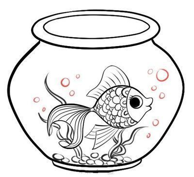 龍魚(yú)跟虎魚(yú)養(yǎng)的寓意一樣嗎，龍魚(yú)和虎魚(yú)在風(fēng)水中代表著什么？