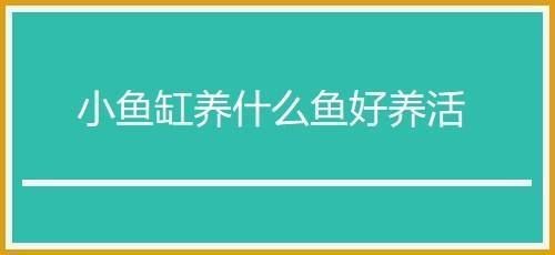 魚(yú)缸最容易養(yǎng)活的淡水魚(yú)，如何養(yǎng)護(hù)孔雀魚(yú)提高壽命 龍魚(yú)百科 第5張