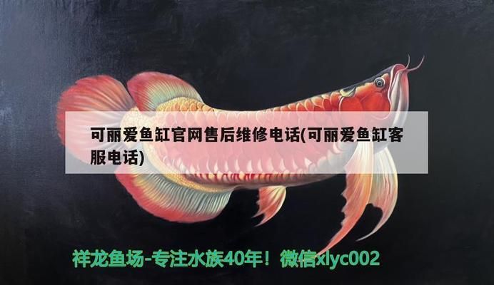 可麗愛(ài)魚(yú)缸官網(wǎng)維修電話地址，可麗愛(ài)魚(yú)缸官網(wǎng)提供維修服務(wù) 龍魚(yú)百科 第4張