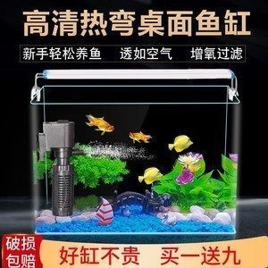 銀龍魚吃什么小魚仔都可以嗎，銀龍魚吃小魚仔時(shí)，有什么表現(xiàn)可以判斷它是否吃得好？ 水族問(wèn)答