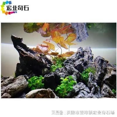 龍魚缸石頭造景，龍魚缸石頭造景創(chuàng)意方案如何選擇適合龍魚的石頭