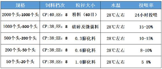 飛鳳魚(yú)苗適宜水溫范圍，飛鳳魚(yú)苗最佳生長(zhǎng)環(huán)境,如何監(jiān)測(cè)飛鳳魚(yú)水溫控制技巧 龍魚(yú)百科 第5張