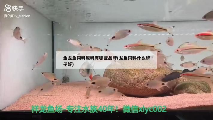 金龍魚飼料原料供應(yīng)商有哪些，金龍魚飼料原料供應(yīng)商 龍魚百科 第2張