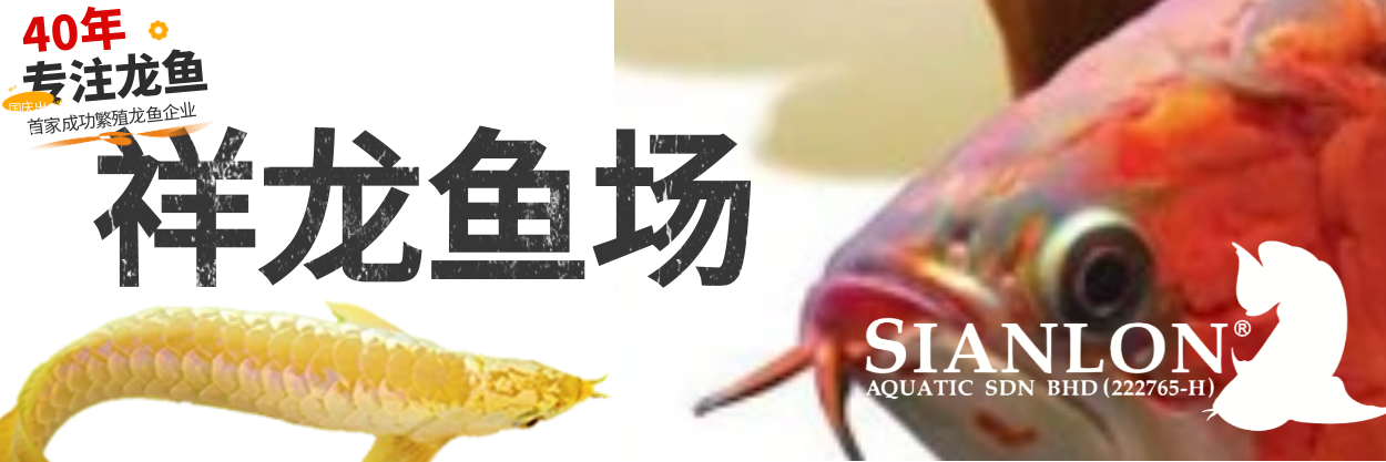 廣州常王云貿(mào)易店（廣州常王云貿(mào)易店廣州常王云貿(mào)易店）