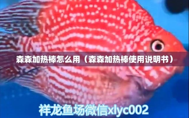 龍魚為什么會(huì)翻肚子，龍魚翻肚子怎么辦？