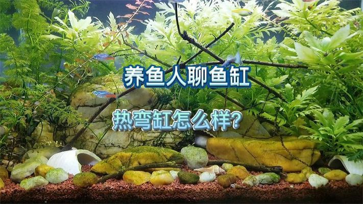 熱彎魚缸，如何維護(hù)熱彎魚缸衛(wèi)生熱彎魚缸的爆缸原因分析