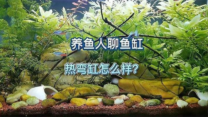 熱彎魚缸，如何維護(hù)熱彎魚缸衛(wèi)生熱彎魚缸的爆缸原因分析 龍魚百科 第6張