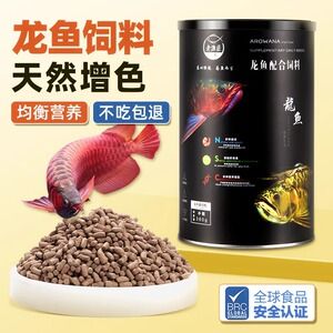 點金龍魚吃什么最好，點金龍魚增色飼料品牌推薦，點金龍魚適量喂養(yǎng)指南 龍魚百科 第2張