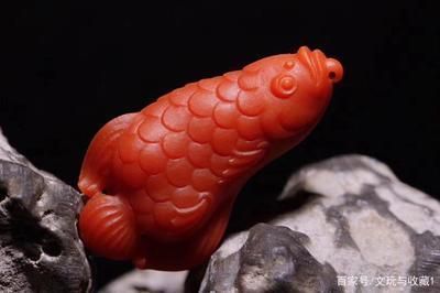 金龍魚標(biāo)志含義，金龍魚標(biāo)志的含義是什么 龍魚百科 第4張