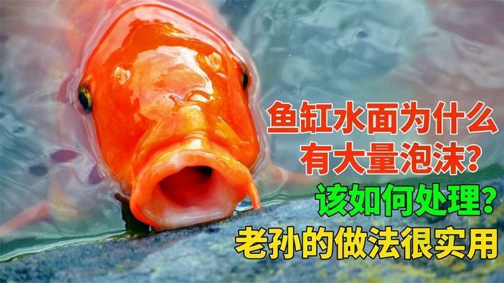 魚缸的水為什么會有很多泡沫，如何去除魚缸泡沫的有效方法 龍魚百科 第4張