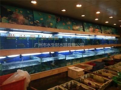 廣州花地灣水族批發(fā)市場，廣州花地灣水族市場特色商品,花地灣市場周邊交通指南 龍魚百科 第2張