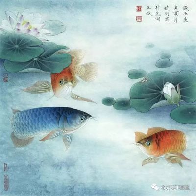 工筆金龍魚底稿，工筆金龍魚底稿是一種傳統(tǒng)的中國(guó)畫技法 龍魚百科 第4張