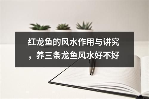 家中養(yǎng)龍魚(yú)風(fēng)水講究，家中養(yǎng)龍魚(yú)的風(fēng)水學(xué) 龍魚(yú)百科 第4張