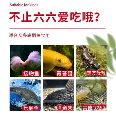 六角恐龍魚飼料下沉的好還是上浮的好，六角恐龍魚幼魚飼料選擇