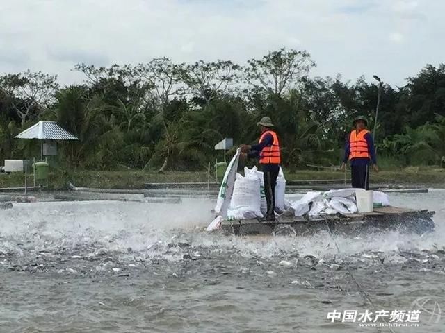 廣州市傲飛園林景觀設(shè)計(jì)有限公司，傲飛園林景觀設(shè)計(jì)有限公司