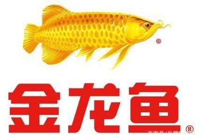 金龍魚營銷案例，金龍魚品牌合作案例 龍魚百科 第1張