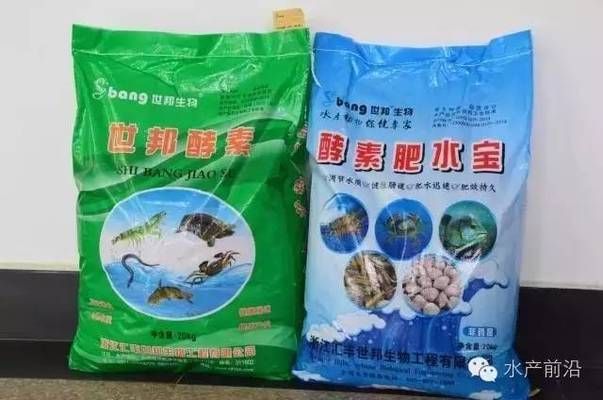 麥肯斯銀版魚飼料選擇指南，**麥肯斯銀版魚飼料選擇指南