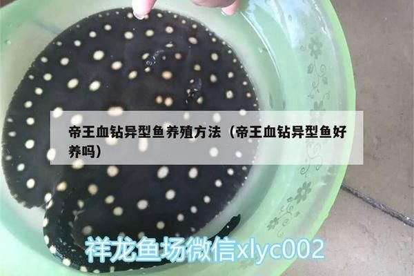 濟(jì)南華德魚(yú)飼料有限公司北京分公司，濟(jì)南華德魚(yú)飼料有限公司北京分公司北京分公司詳細(xì)介紹