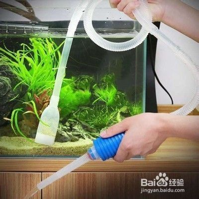 魚缸水長泡泡，如何正確使用除氯劑魚缸過濾器升級指南