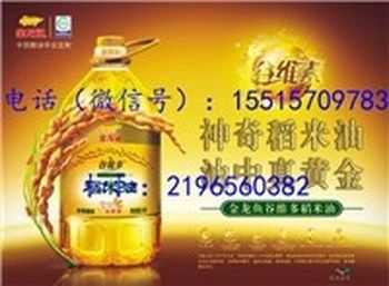 貴陽金龍魚總代理最新消息電話號碼，貴陽金龍魚總代理最新消息 龍魚百科 第5張